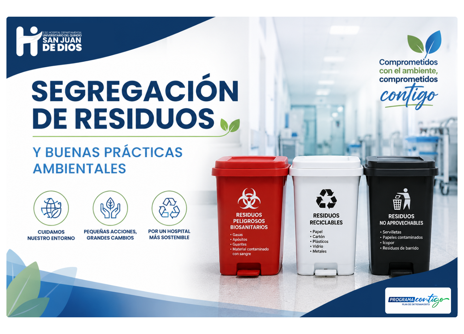 Imagen 1.