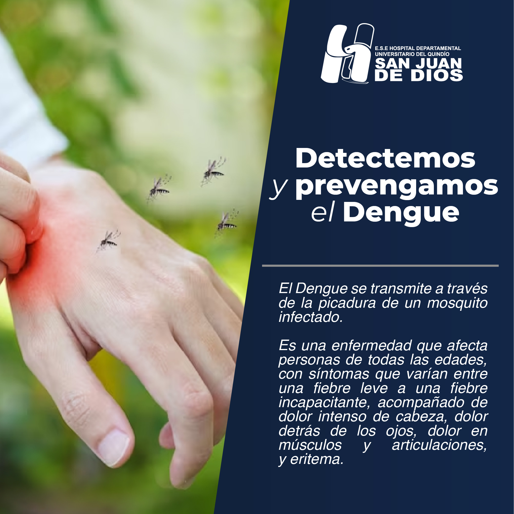 dengue-01.jpg